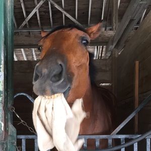 Meet your Posher, Katelyn